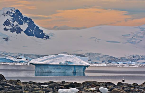 istock Antarctica Icebergs, Ice floes and Mountains 2131485272