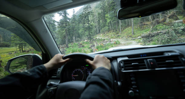 istock Driving car in the forest mountain trail, China 2131491322