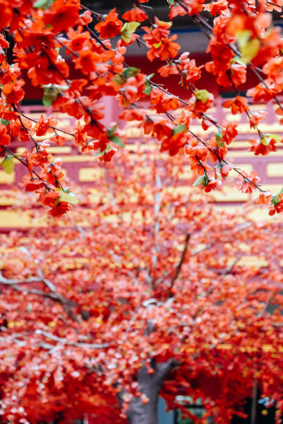 istock artificial Japanese cherry blossoms in full bloom 2131499553