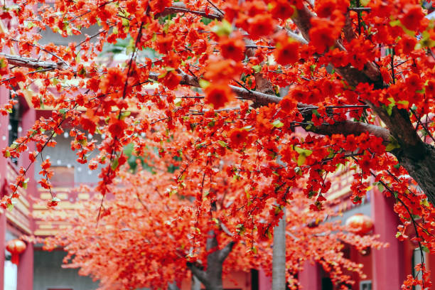 istock artificial Japanese cherry blossoms in full bloom 2131500064