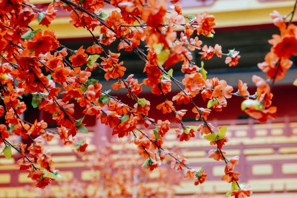istock artificial Japanese cherry blossoms in full bloom 2131500084