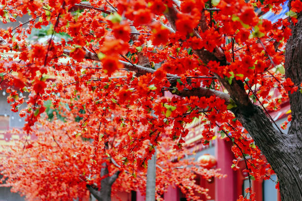 istock artificial Japanese cherry blossoms in full bloom 2131500087