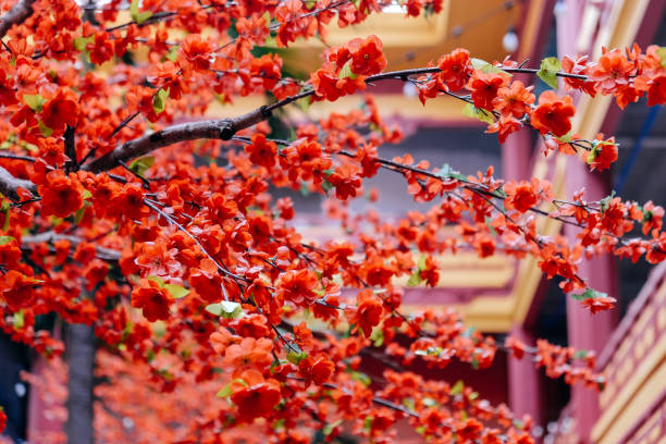 istock artificial Japanese cherry blossoms in full bloom 2131500106