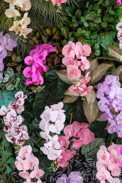 istock Colorful artificial orchids in the garden. 2131500618