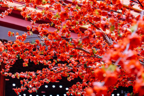 istock artificial Japanese cherry blossoms in full bloom 2131500628