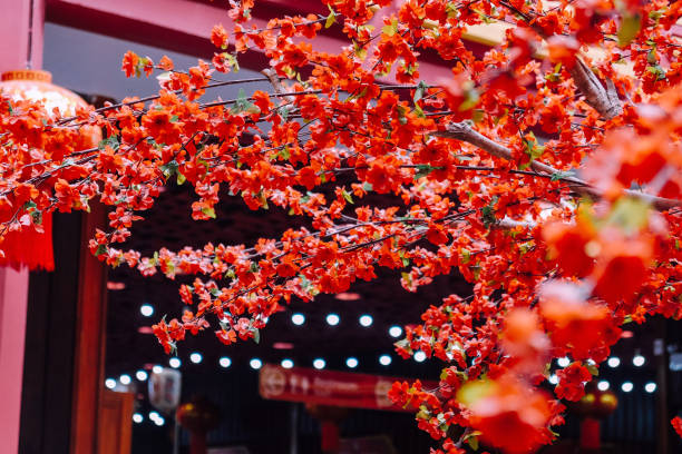 istock artificial Japanese cherry blossoms in full bloom 2131500634