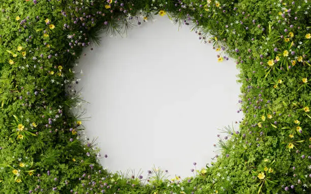 Nature plants flowers presentation mockup stage podium product background Nature plants flowers presentation mockup stage podium product background