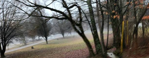 Creepy foggy cloudy  looking park