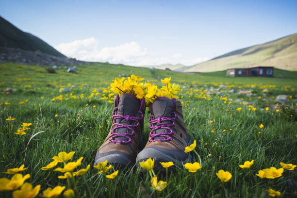 Hiking boots with yellow wild flowers in grass