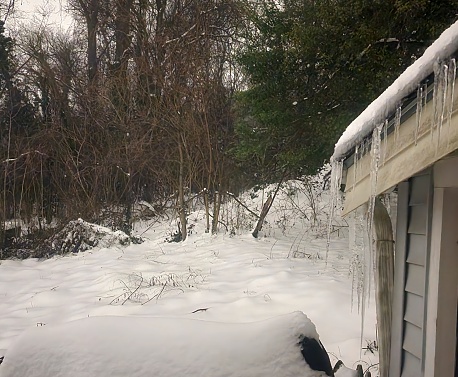 Frozen snowed icicles backyard Ice storm