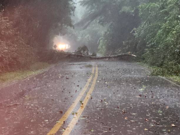 istock Tornado storm debris branch on the road 2131545432
