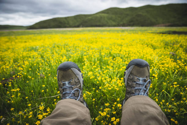 Woman hiker standing on summer high altitude flowering grassland