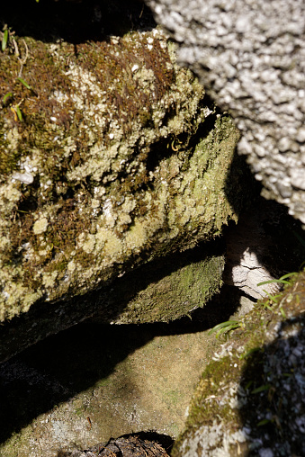 Background unconstructed rocks with moss on