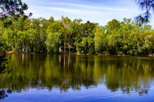 A calm lake with a forest reflected in it and a blue sky