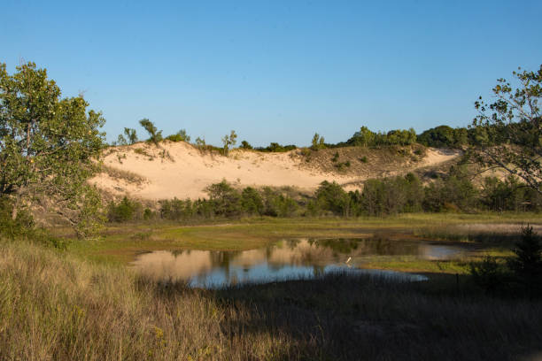 Indiana Dunes NP - Reflecting Pond