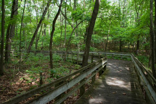 istock Indiana Dunes NP - Calumet Trail Boardwalk Horizontal 2131758885
