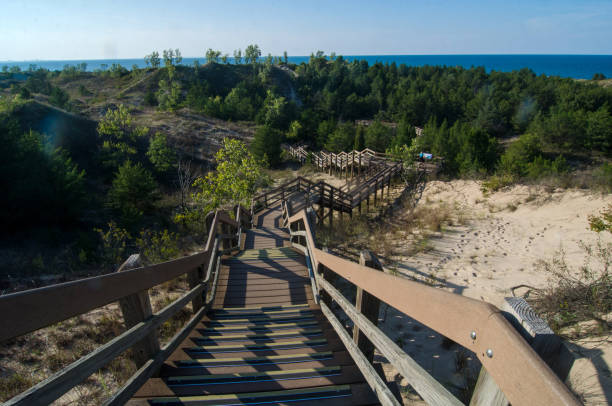 istock Indiana Dunes NP - Dune Succession Trail - Long Way Down 2131761471