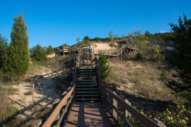 istock Indiana Dunes NP - Dune Succession Trail - Looking Back 2131765553