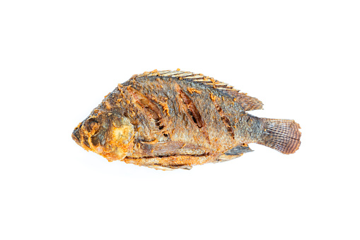 Fried nile tilapia fish isolated on white background, Nile tilapia fish