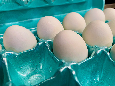 Nearly a dozen white chicken eggs fill a blue carton sitting on a kitchen counter waiting to be used in a recipe.