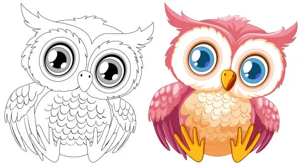 Vector illustration of Vector illustration of an owl, colored and line art.