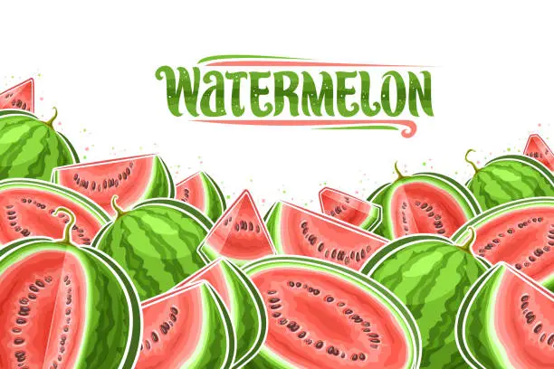 Vector illustration of Vector illustration of Watermelons