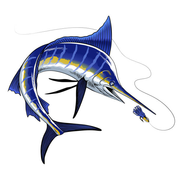 istock Blue Marlin Fishing Illustration Catching Fish Lure 2131847355