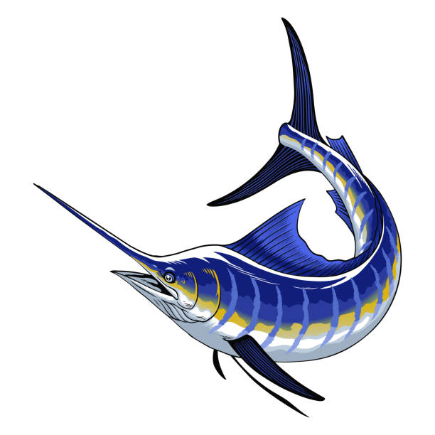 istock Illustration of Blue Marlin Fish in Vintage Style 2131874334