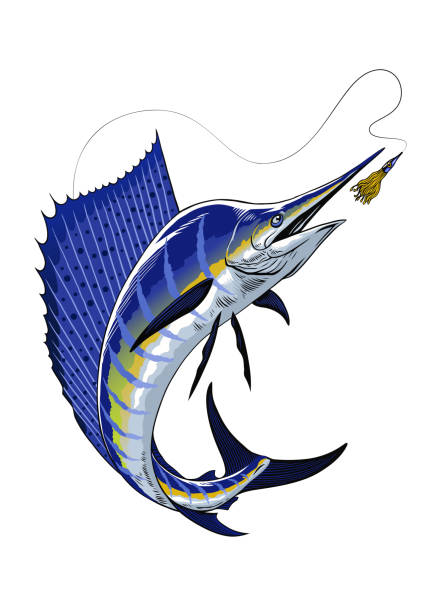 istock Big Sailfish Chasing the Fishing Lure 2131910873