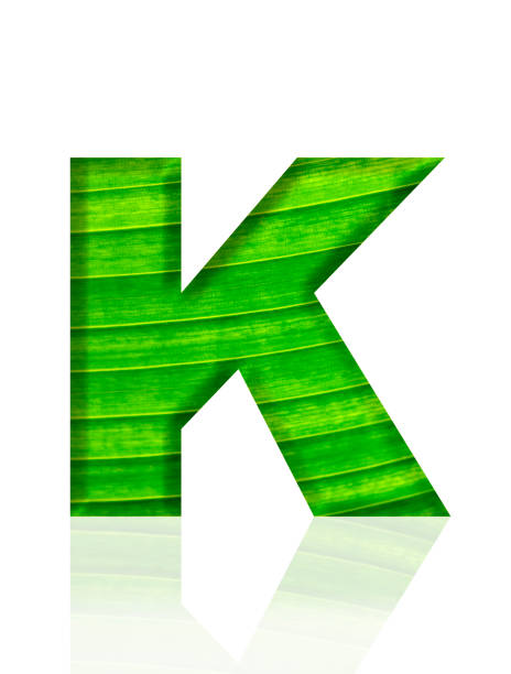 isolierte aufnahme eines dreidimensionalen buchstabens k mit grüner blattader auf weißem hintergrund - letter k alphabet three dimensional shape green stock-fotos und bilder