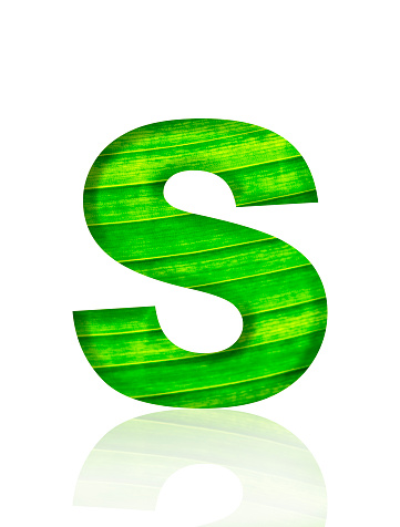Close-up of three-dimensional green leaf vein alphabet letter S on white background.