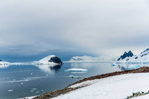 istock Landscape of the Antarctic Peninsula 2131960538