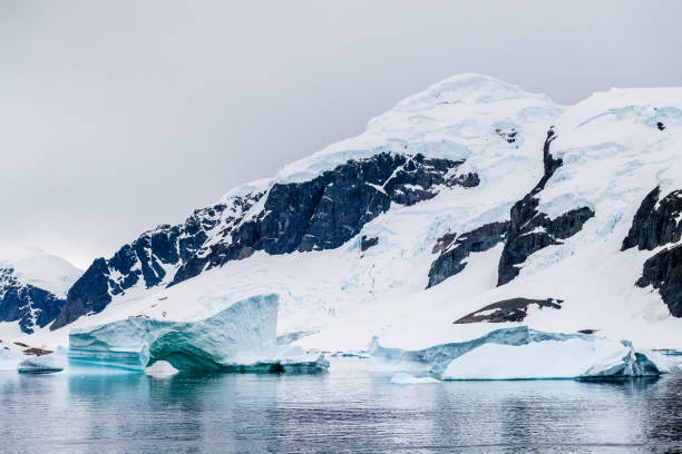 istock Landscape of the Antarctic Peninsula 2131960544