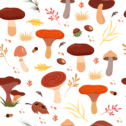 Autumn forest seamless pattern. Mushrooms, berries, chestnuts, pine needles, leaves. Beautiful trendy background for packaging, fabric, wallpaper.