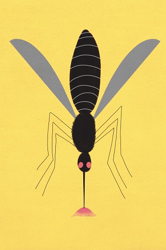 Minimalist graphic design of a cartoon mosquito, perfect for educational and promotional use