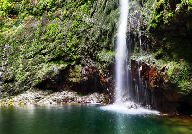 istock Hiking path with forest in Levada do Caldeirao Verde waterfall Trail - tropical scenery on Madeira island, Santana, Portugal. 2131985179