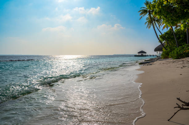 istock Beautiful sandy beach near a dense tropical forest. 2131988243