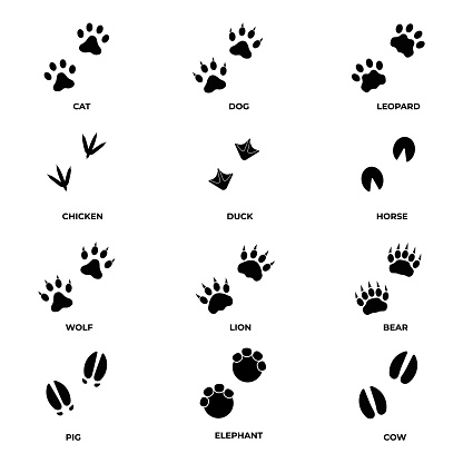 Paws print. Paws print set. Animal paws icons.