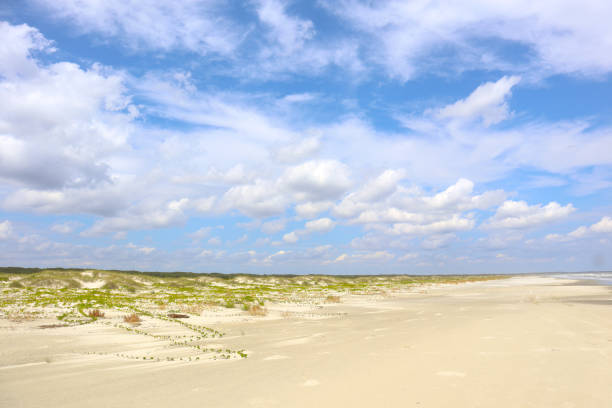 alcune coste dell'isola di cumberland - sand dune cumberland island beach sand foto e immagini stock