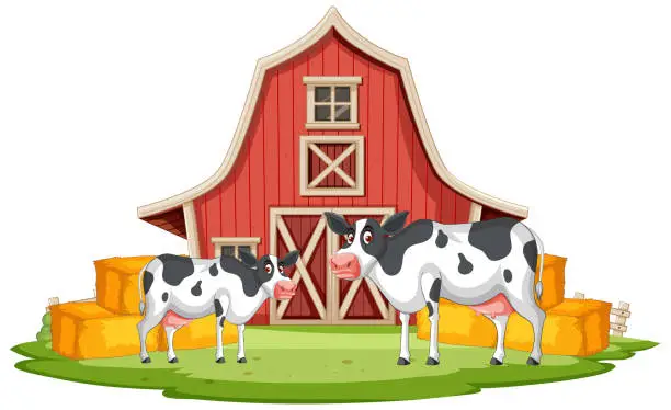 Vector illustration of Two cows outside a barn with hay bales.