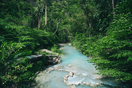A serene stream flowing through lush green woods, surrounded by rocks and trees in the Philippines