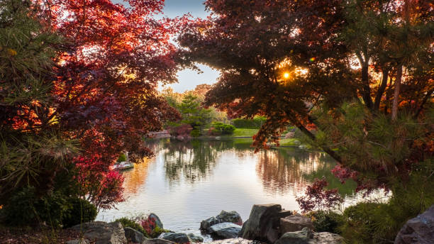 istock View of landscaped park with pond in fall with setting sun peeking through red bushes 2132122980