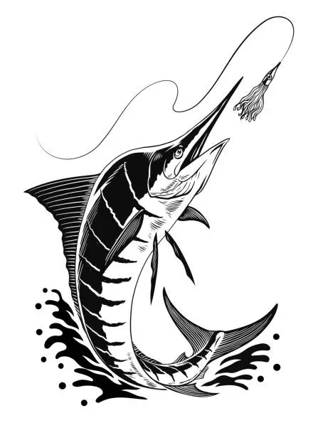 Vector illustration of Marlin Fishing Vector Illustration Isolated Black and White
