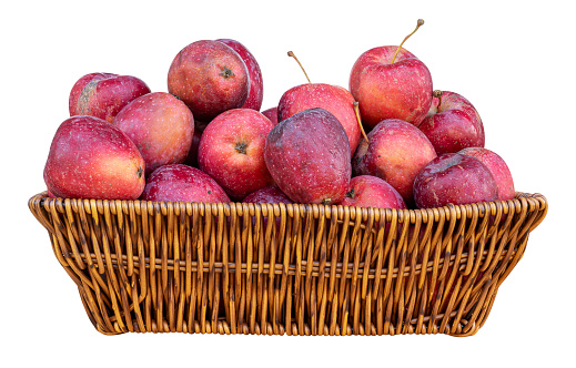Apple in rattan basket isolated on white background with clipping path