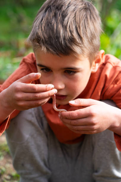 Boy looking at a worm in his hands