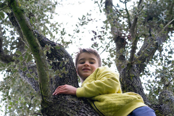 Girl to a tree climbing