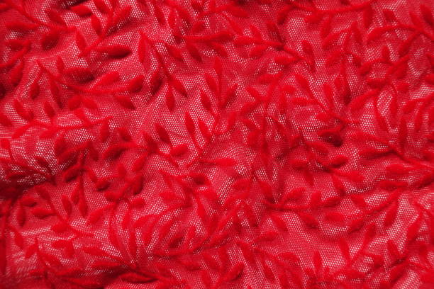 Background - semi-transparent scarlet red burnout velvet fabric