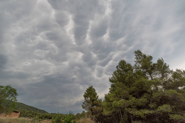 Stormy weather with clouds and cumulus and cumulus clouds in the stormy sky