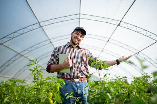 Cheerful farmer holding a digital tablet and welcoming to his vegetable greenhouse ,his small agricultural business.