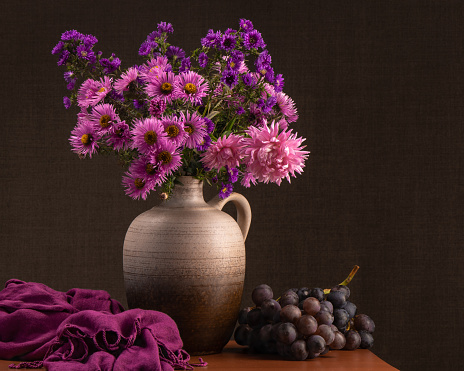 Still life with bouquet of purple chrysanthemums, asters and blue grapes. Beutiful autumn. Dark gray background. Purple scarf.